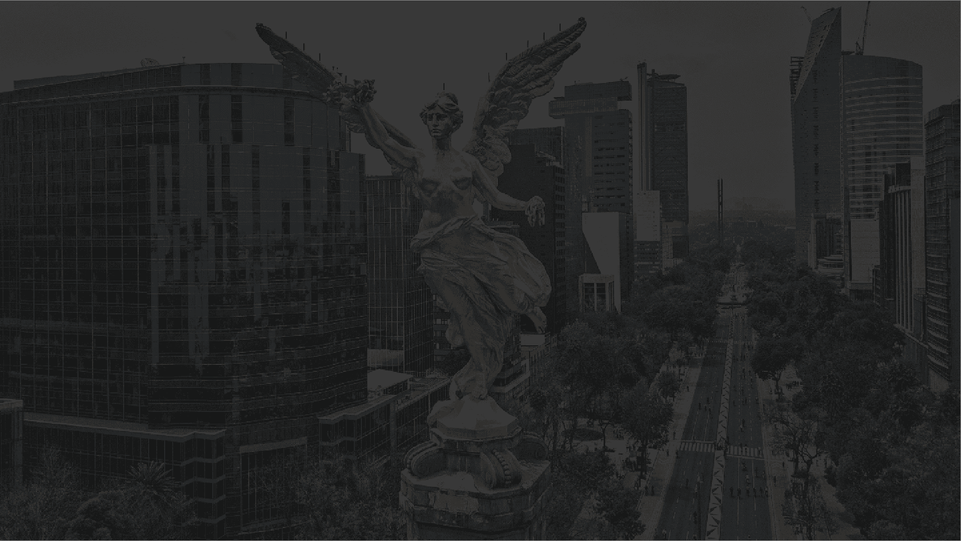 Fondo del hero slider del home